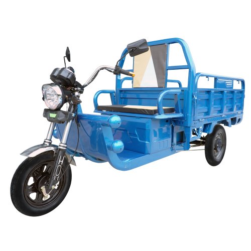 2021 Factory Direct Sales 3 Wheel Cargo Motorcycle Electric Tricycle Cargo 1000kg Scooter Citycoco